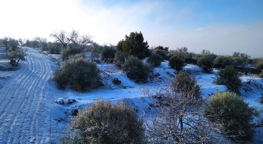 Photo of Others in Pozo Alcon