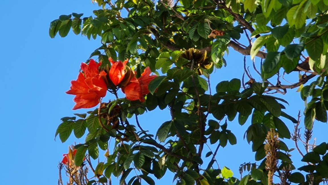 Photo of Others in Torrequebrada
