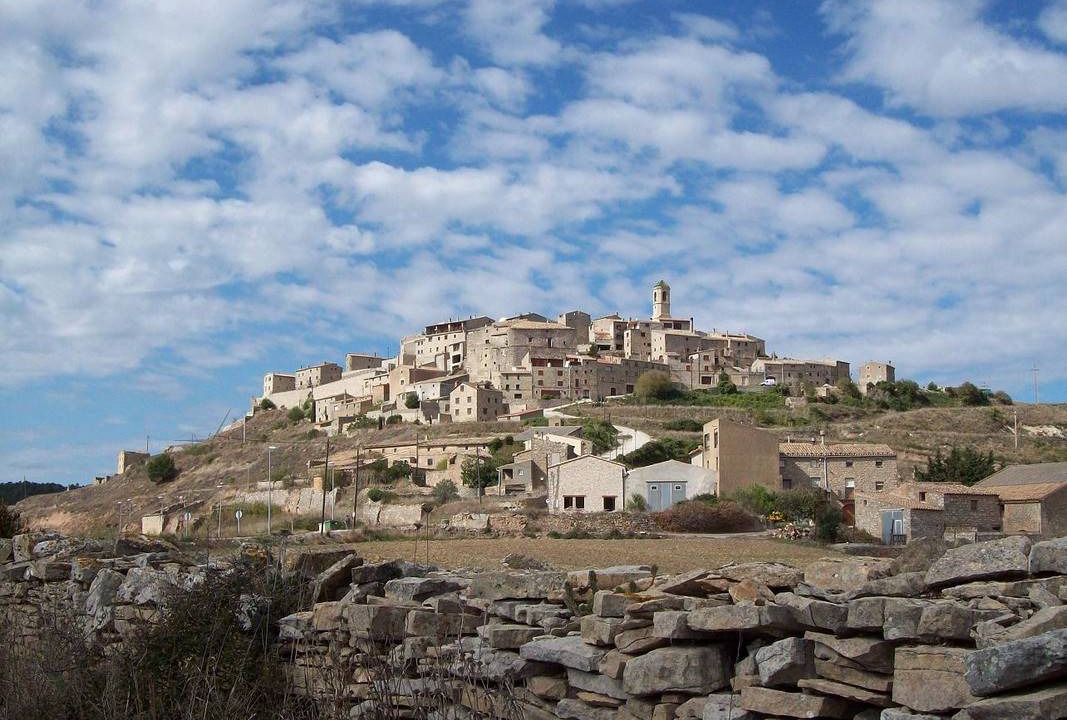 Photo of Buildings in Fores