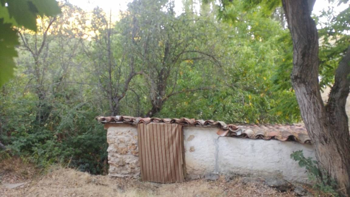Photo of Others in La Hueta