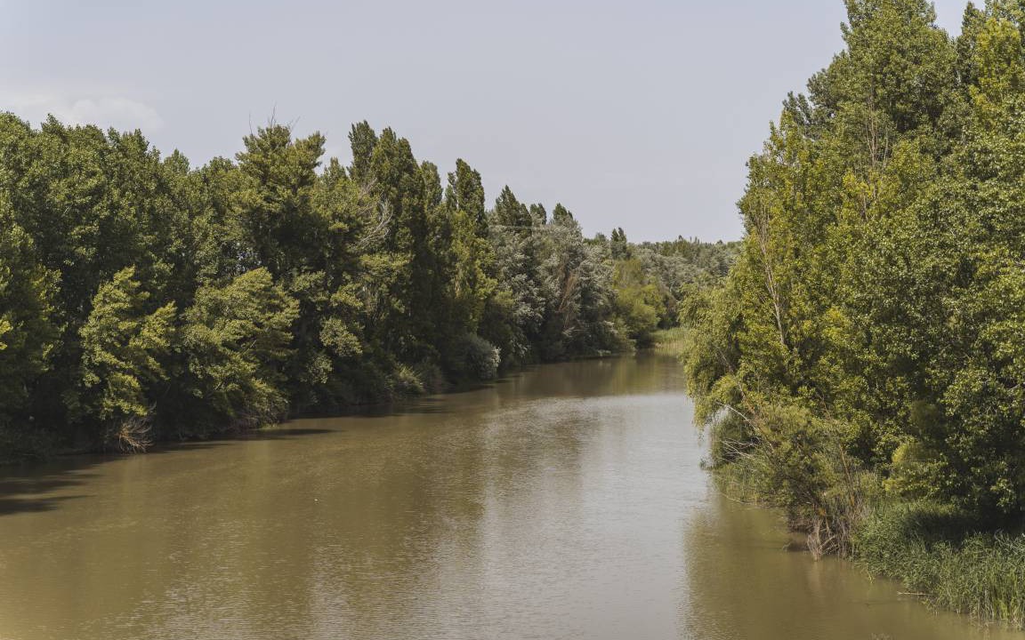 Photo of Others in San Martin de Rubiales