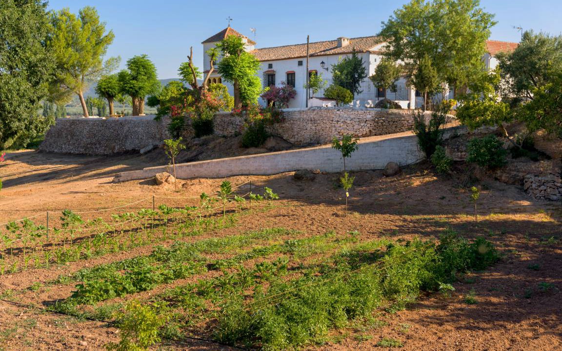 Photo of Others in Chiclana de Segura