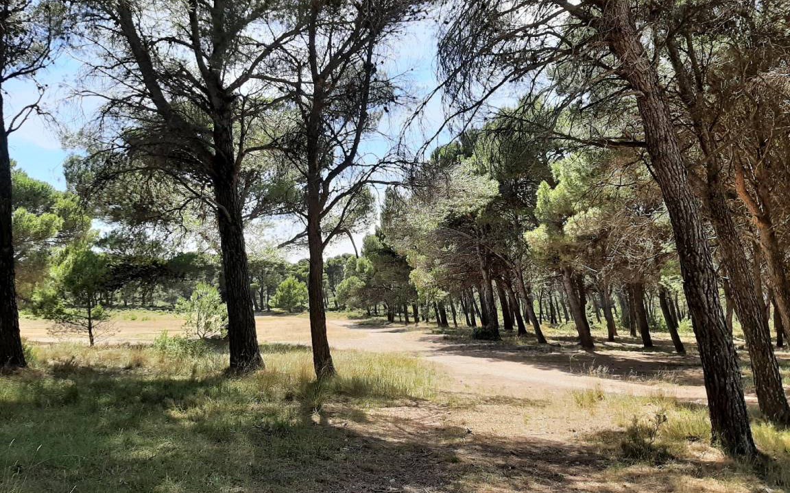 Photo of Outdoor in Borja