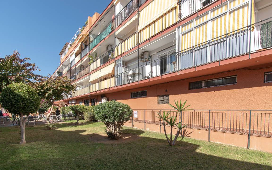 Photo of Others in Torreblanca