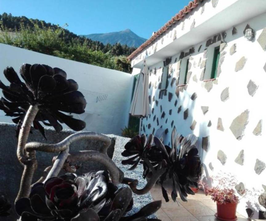 Photo of Others in Icod de los Vinos
