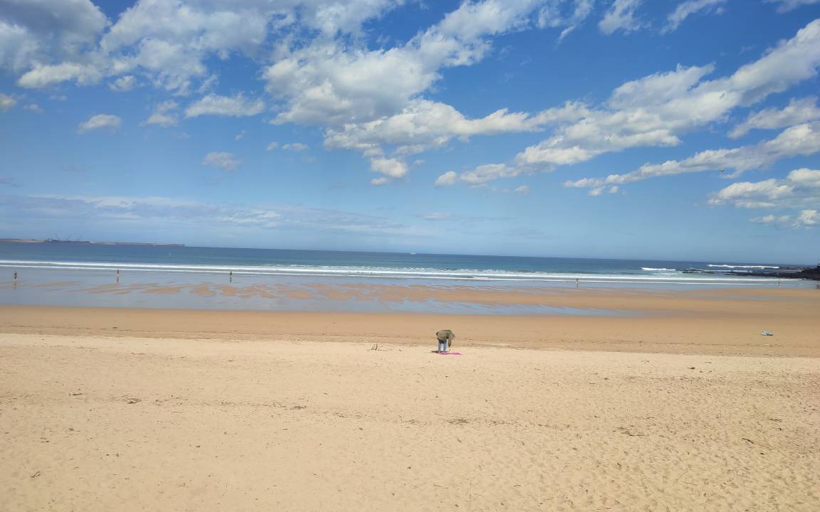 Photo of Others in Gijon-Este