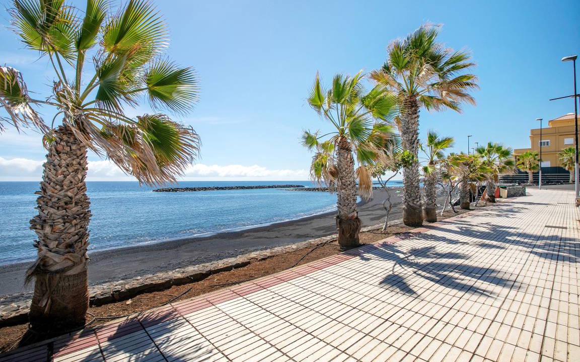 Photo of Others in Puerto de Guimar