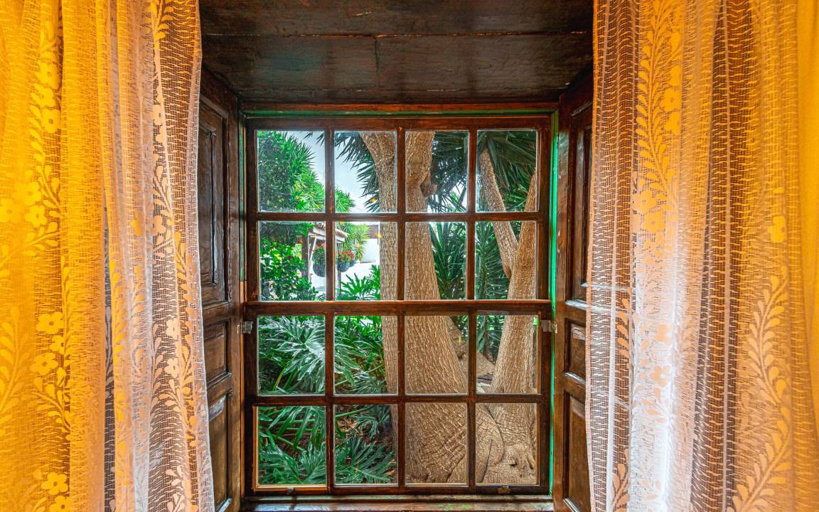 Photo of Others in Villa de Arico