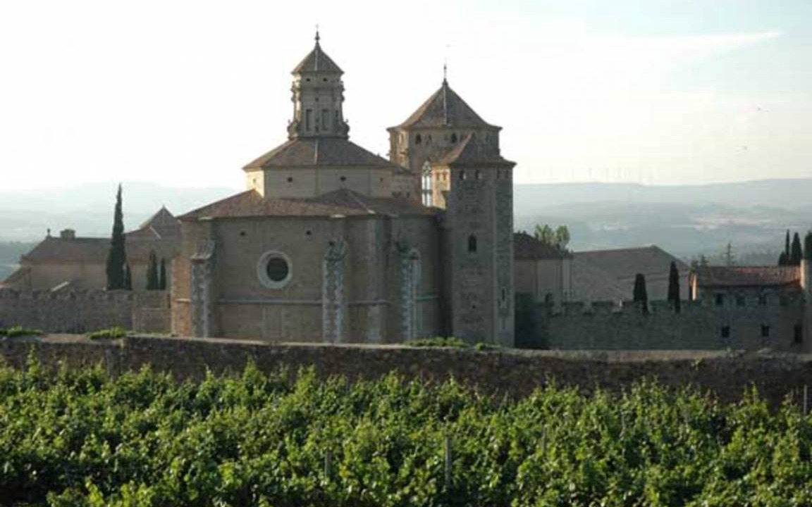 Photo of Buildings in Fores