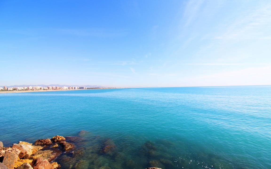 Photo of Others in Sagunto