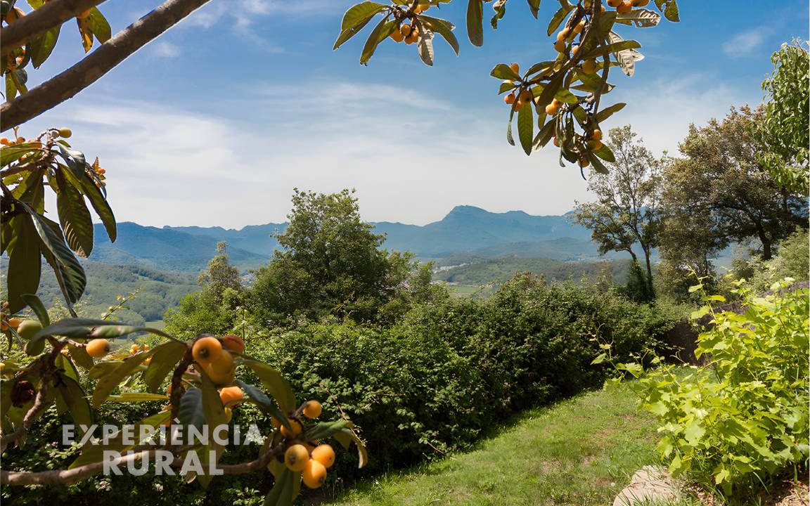 Photo of Others in Sant Joan les Fonts