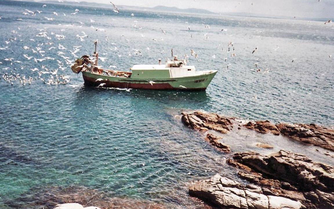 Photo of Others in Almadraba-Canyelles