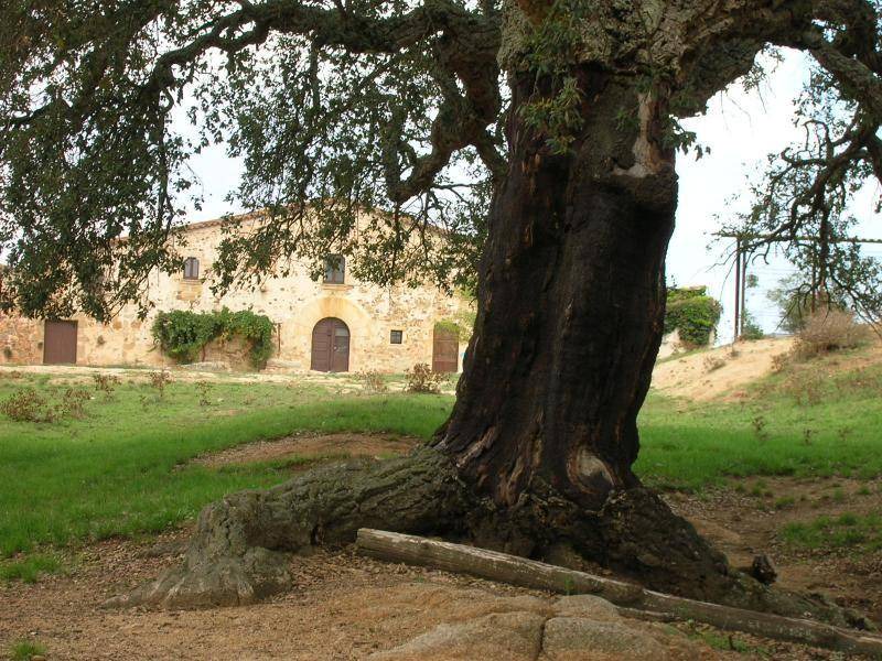 Photo of Others in Cassa de la Selva