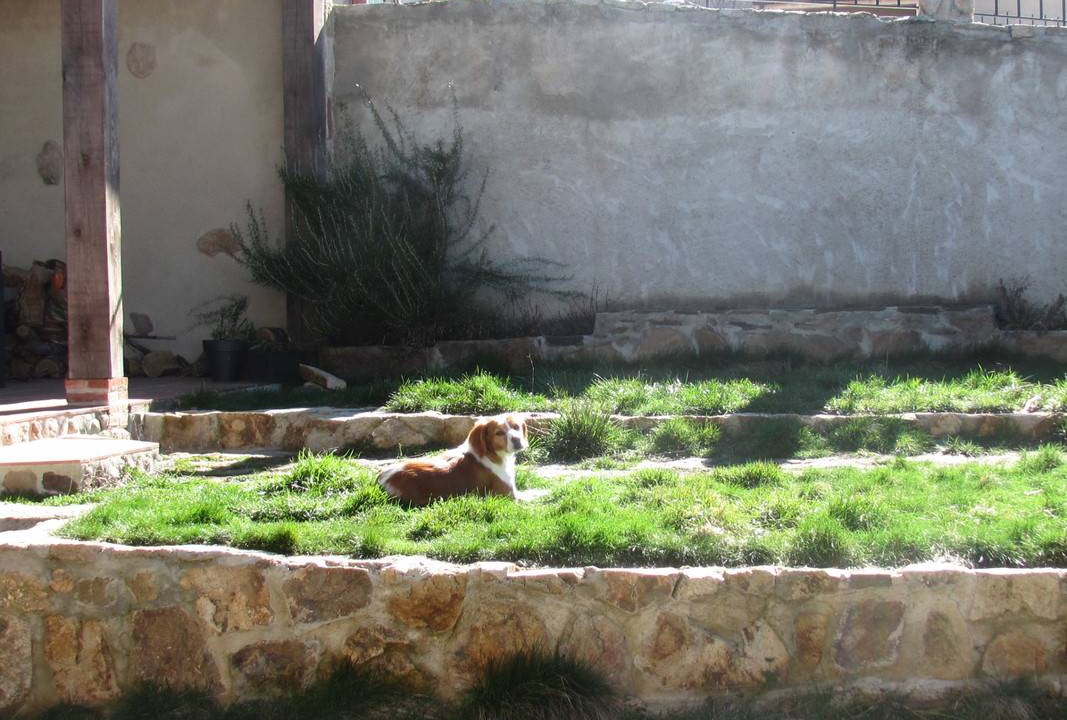Photo of Others in Navafria