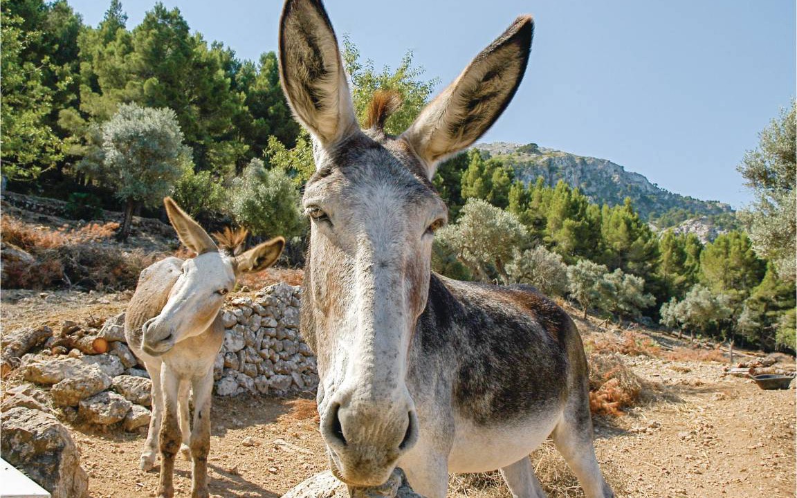 Photo of Others in Estellencs
