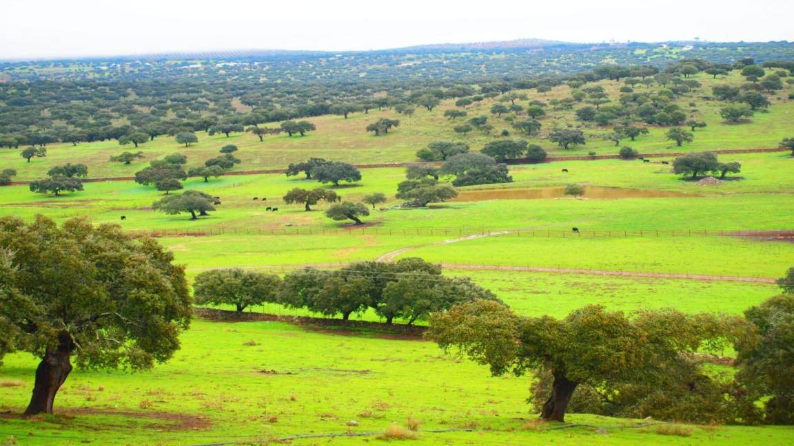 Photo of Others in Casas del Monte