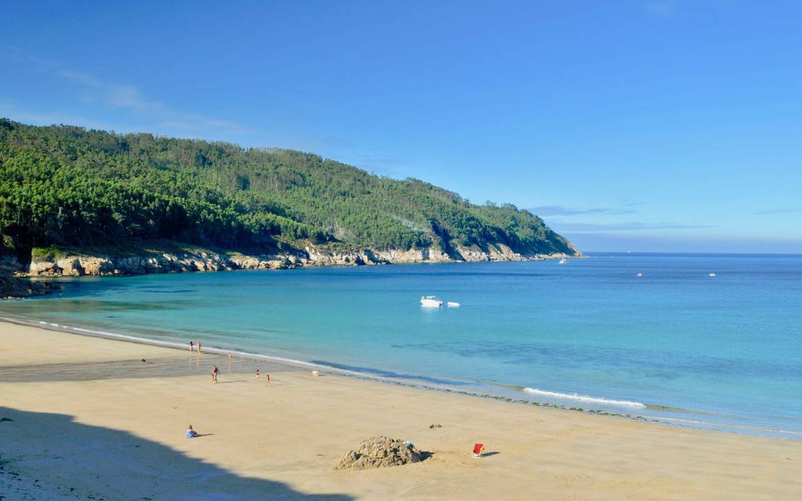 Photo of Others in Viveiro