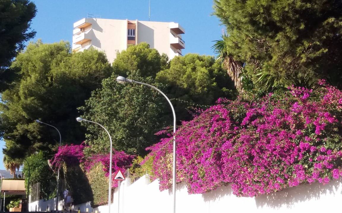 Photo of Others in Carihuela