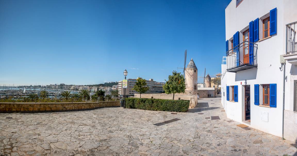 Photo of Others in El Jonquet