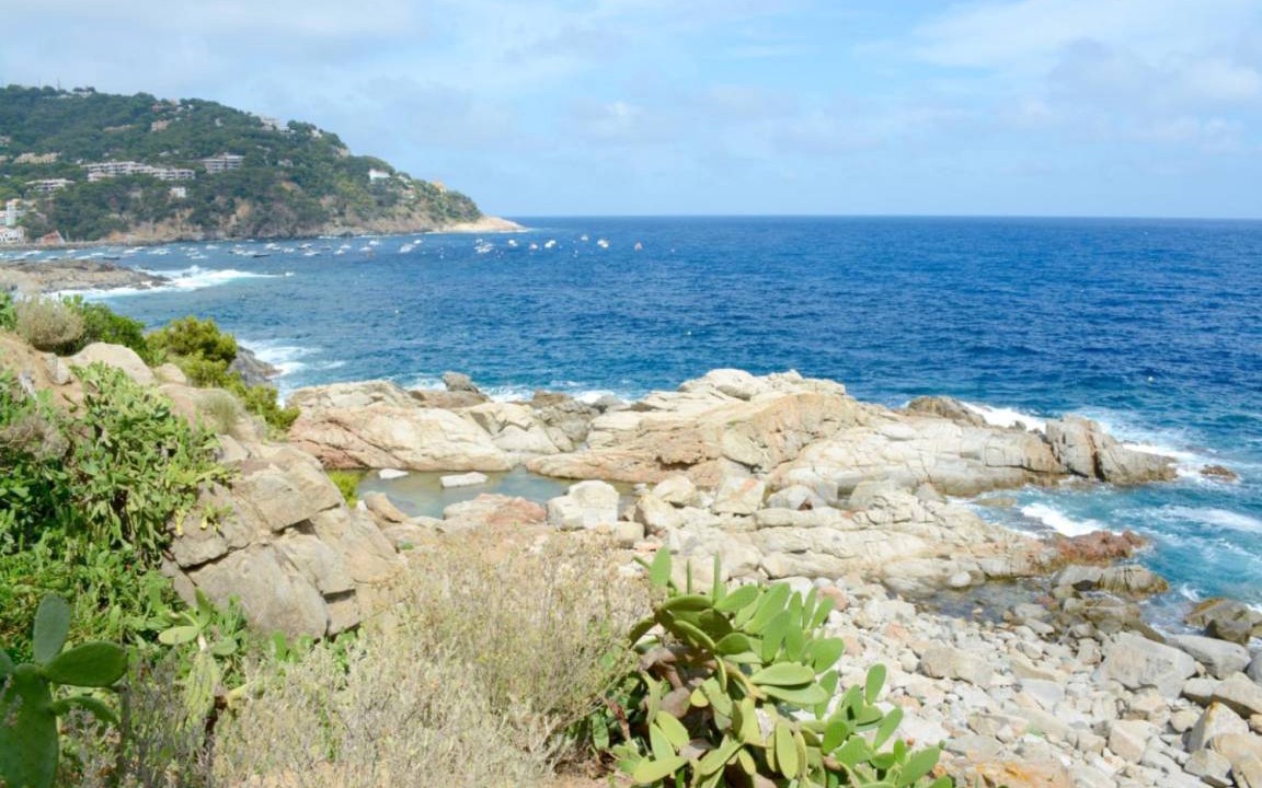 Photo of Others in Palafrugell