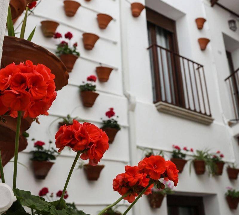 Photo of Patio Balcony in Hinojosa del Duque
