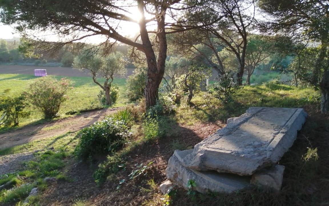 Photo of Others in Palafrugell