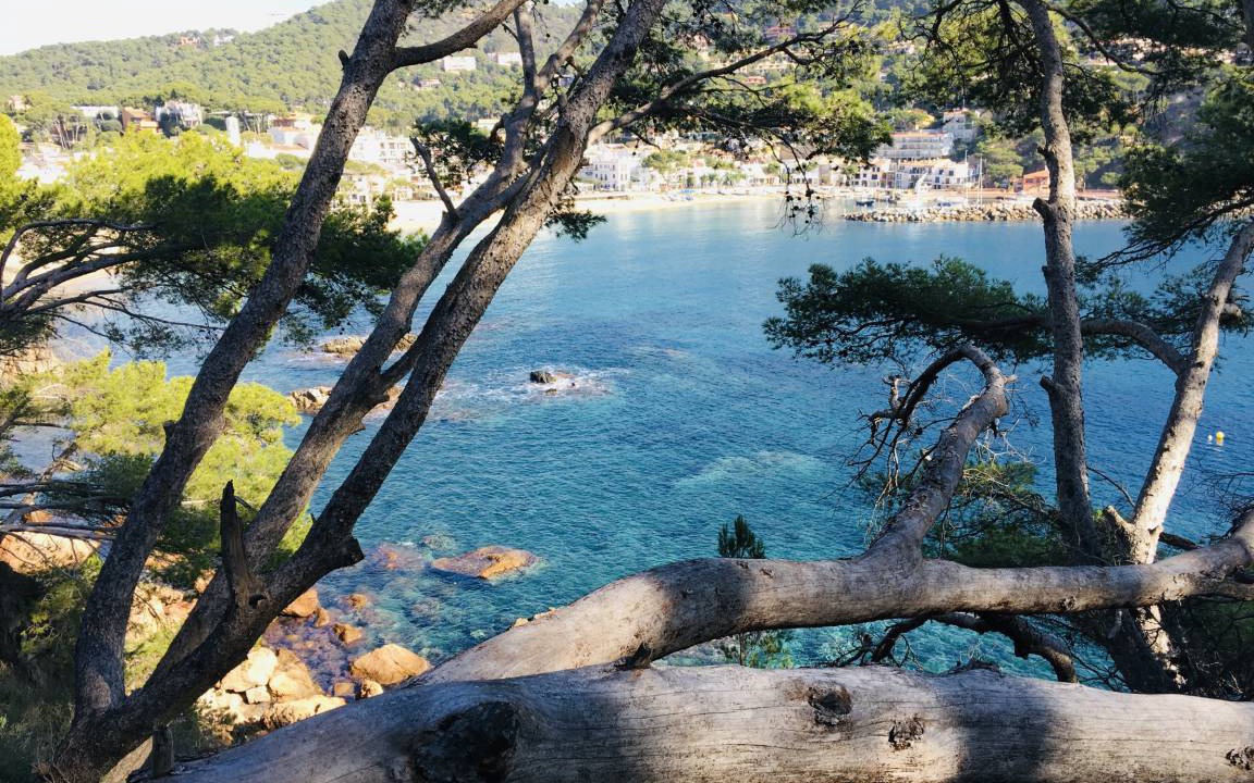 Photo of Others in Palafrugell