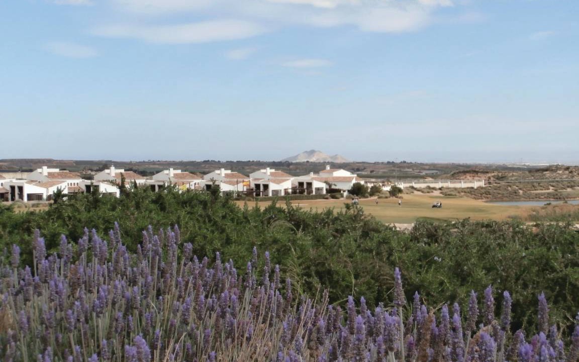 Photo of Others in Caserio Los Tarquinos