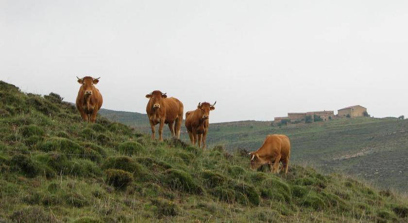 Photo of Others in Tronchon