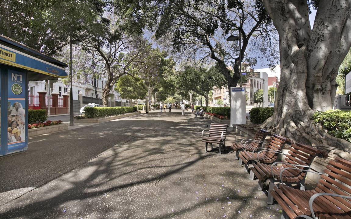 Photo of Others in Santa Cruz de Tenerife