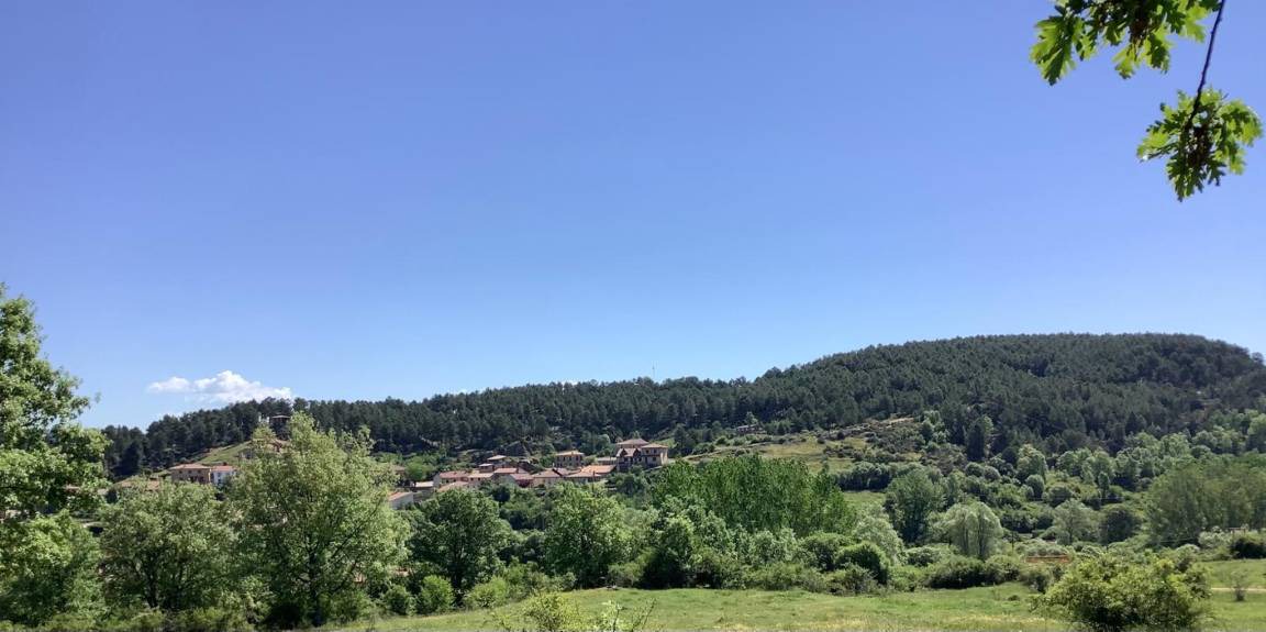 Photo of Others in Rabanera del Pinar