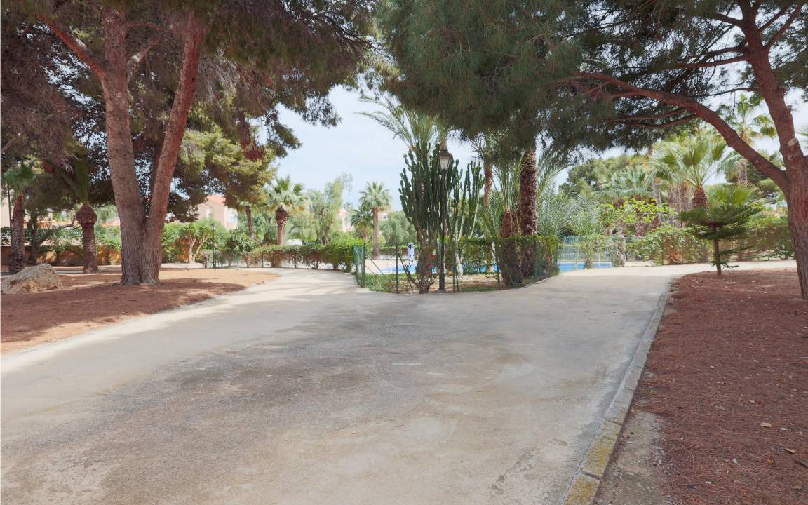 Photo of Others in Puerto de Mazarron