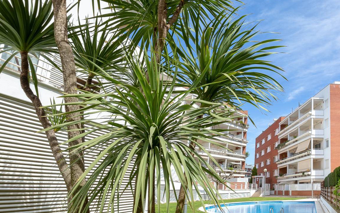Photo of Others in Lloret de Mar