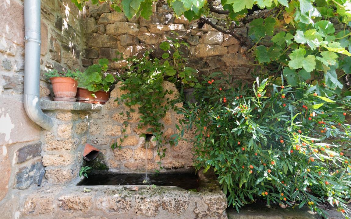 Photo of Others in Cabezon de Liebana