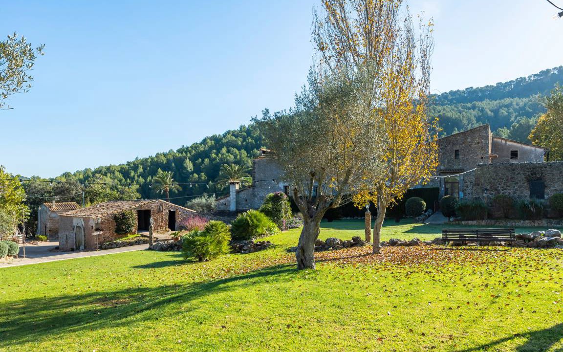 Photo of Others in Puigpunyent