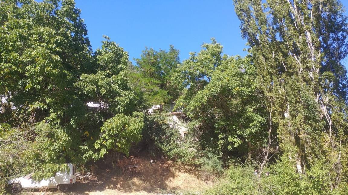 Photo of Others in La Hueta