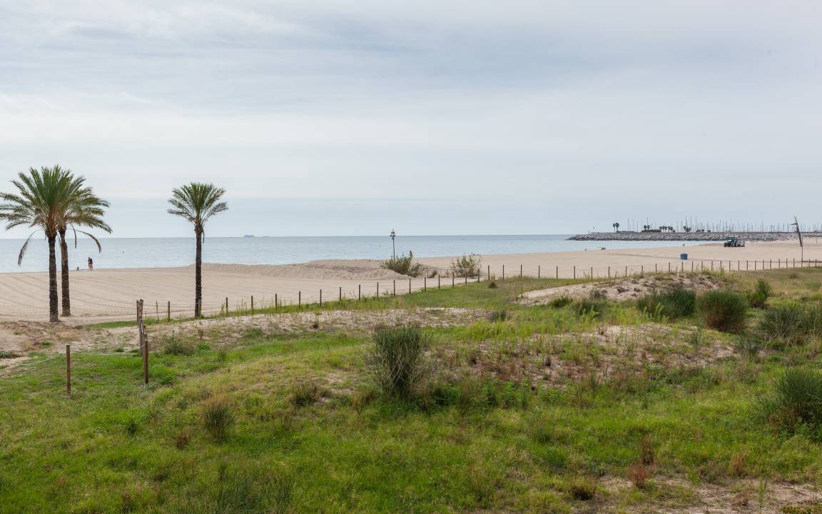 Photo of Others in Mataro