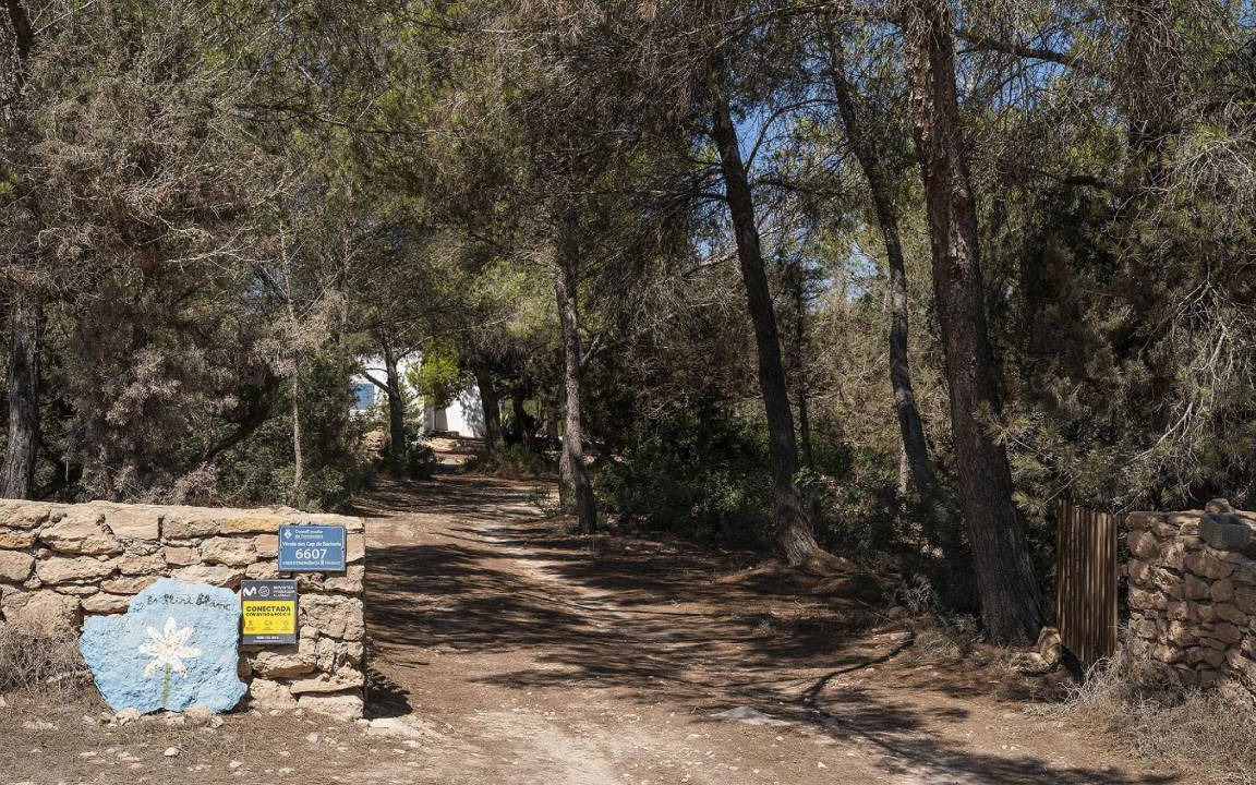 Photo of Others in Formentera