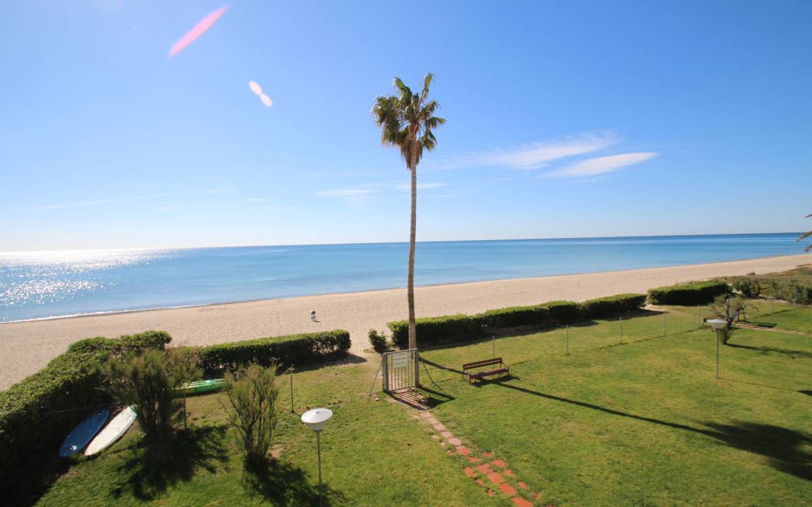 Photo of Others in Miami Platja