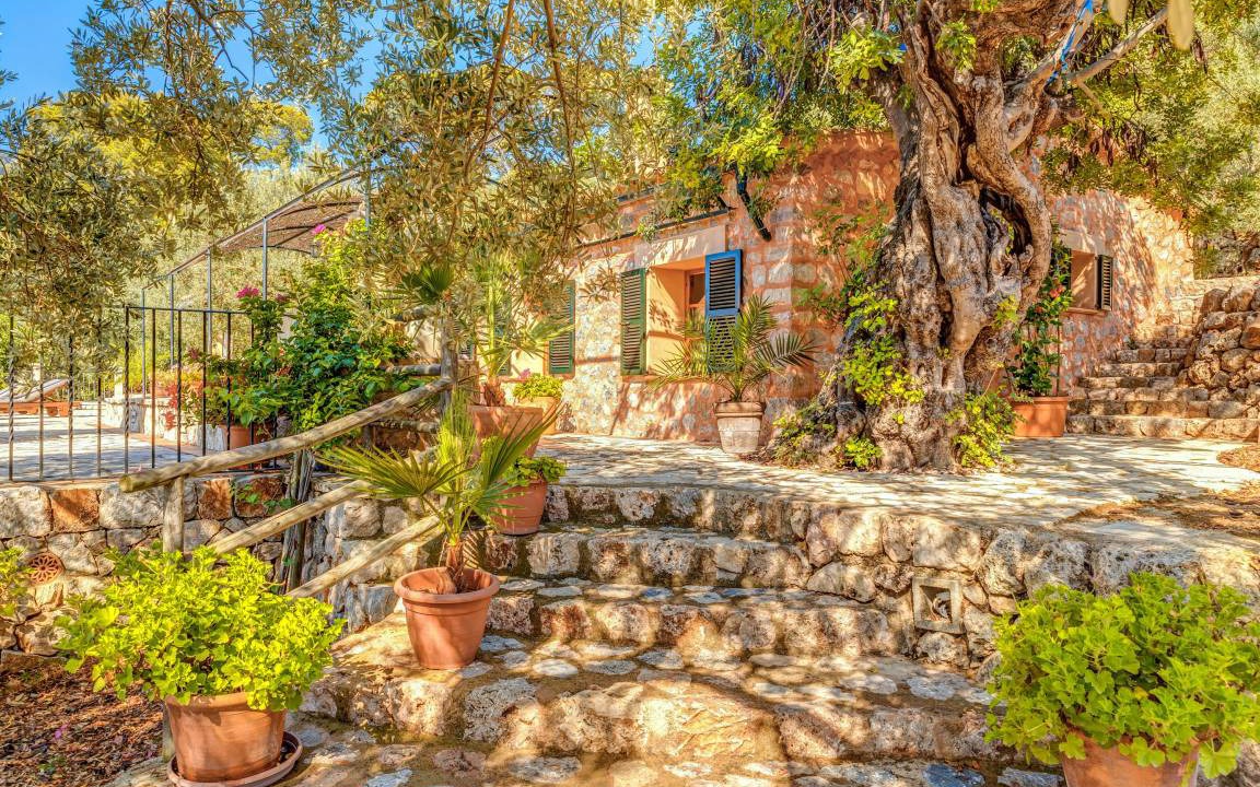 Photo of Others in Soller