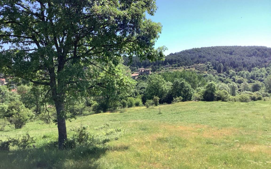 Photo of Others in Rabanera del Pinar