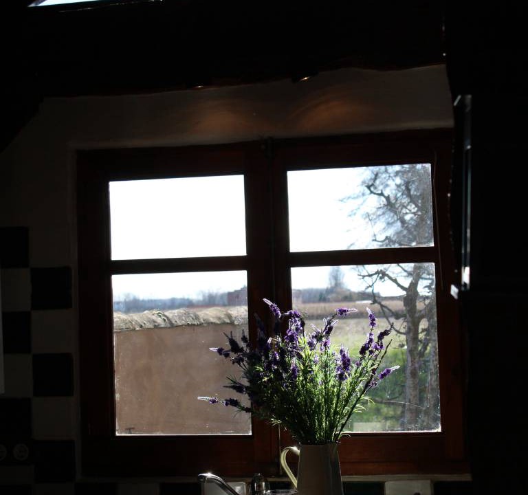 Photo of Kitchen in Saldana