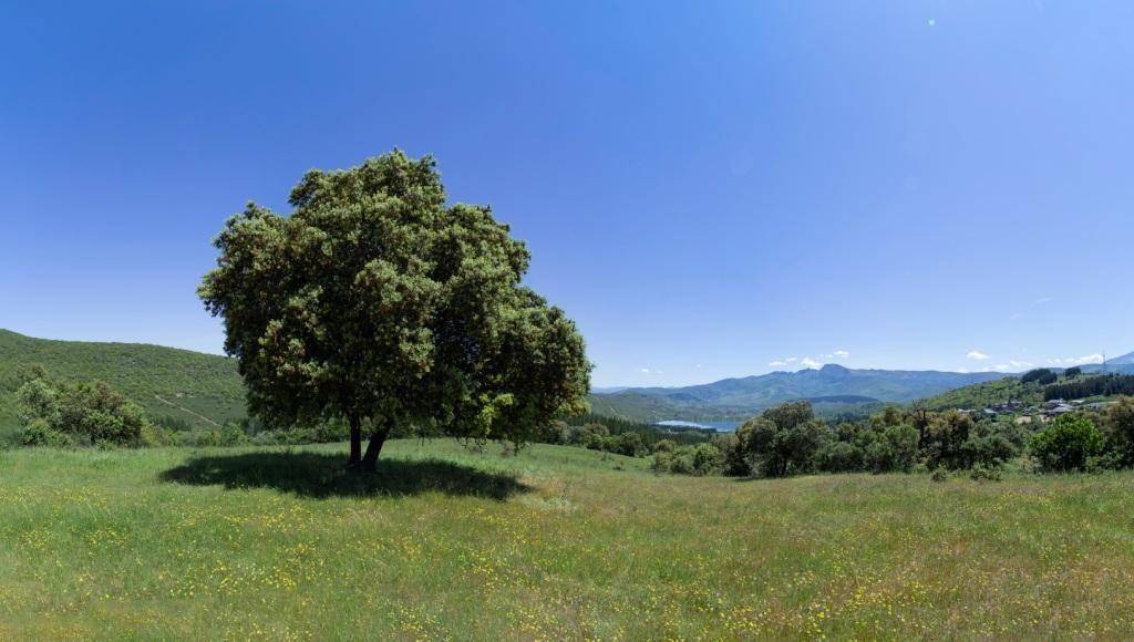 Photo of Others in Carucedo