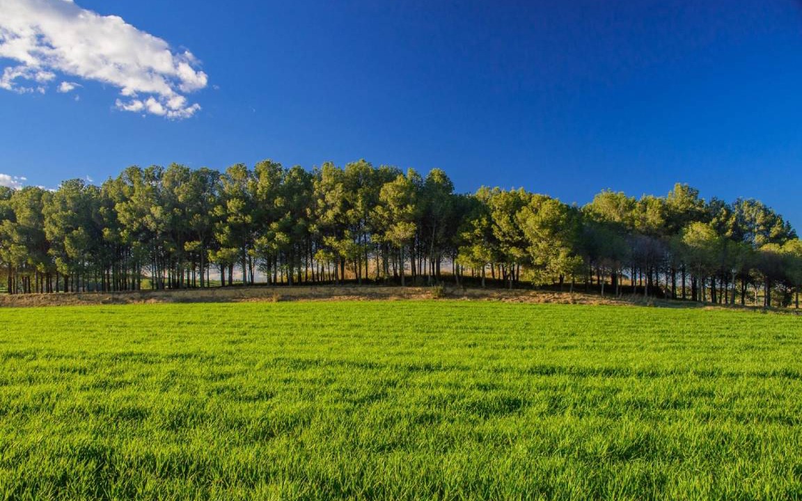 Photo of Others in La Tallada d'Emporda