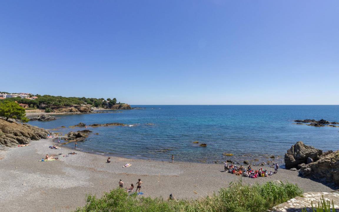 Photo of Others in Llanca