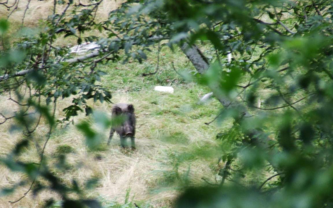 Photo of Others in Ezcaray