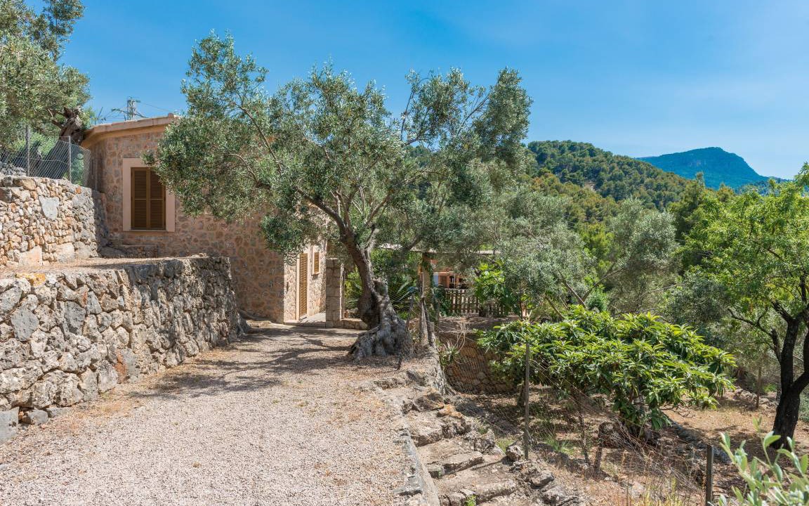 Photo of Others in Soller