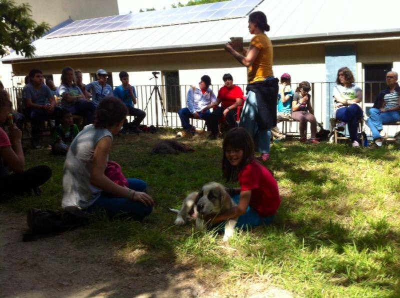 Photo of Others in San Lorenzo de Barjacoba