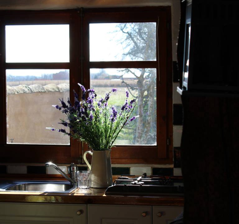 Photo of Kitchen in Saldana