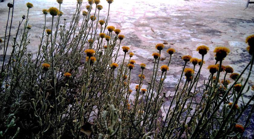 Photo of Outdoor in Esporles